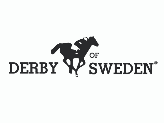 Derby of Sweden